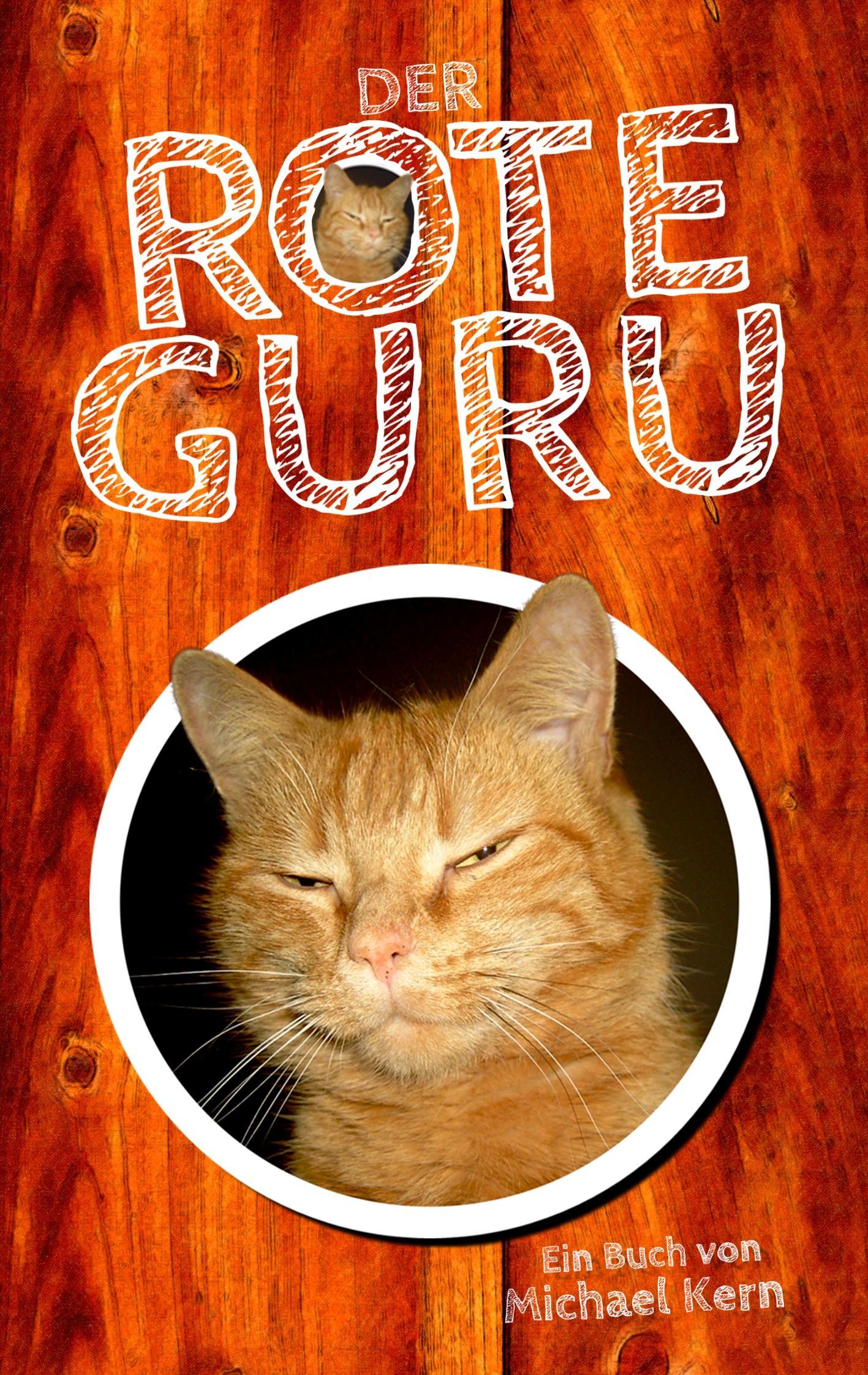 Vorderes Coverbild Der rote Guru