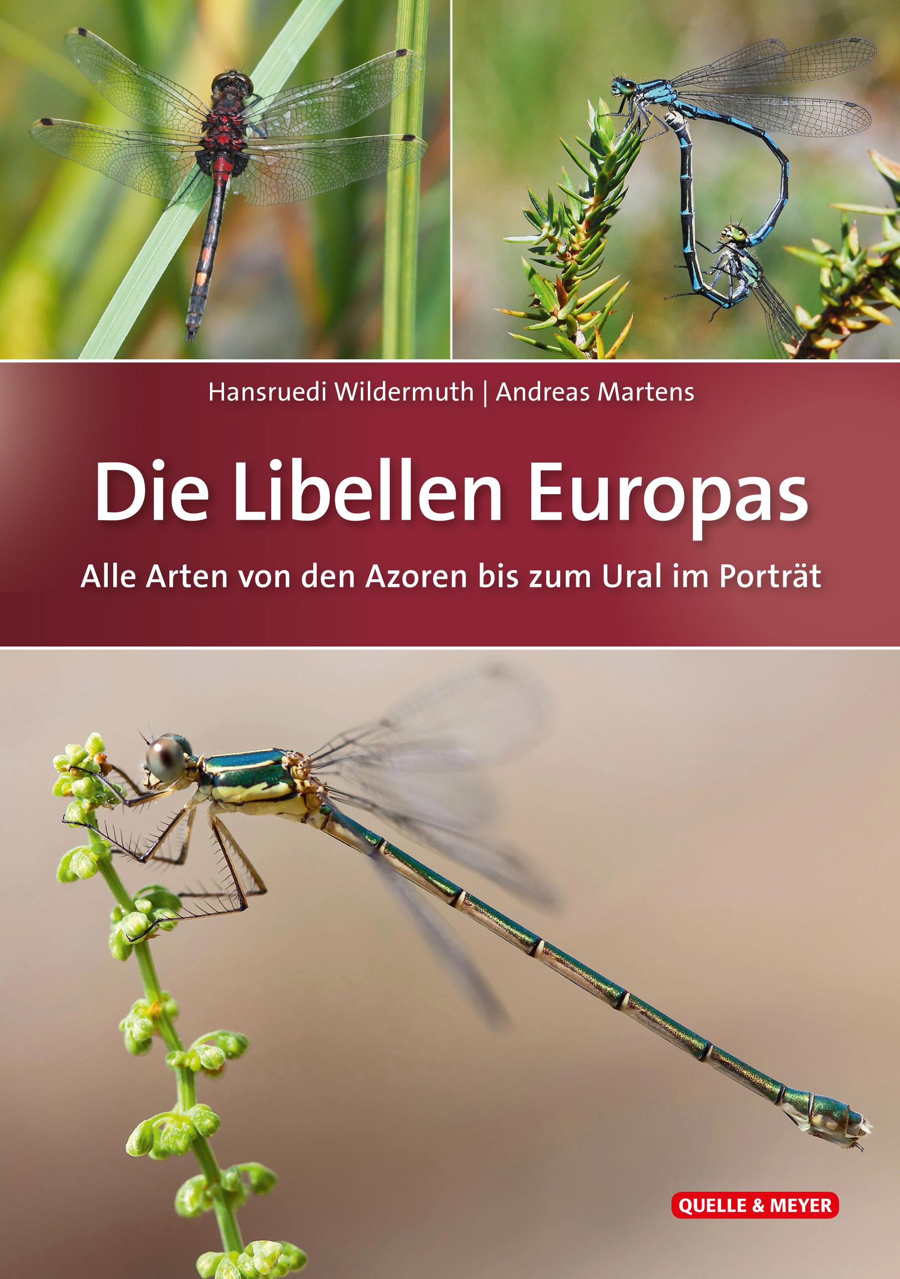 Vorderes Coverbild Die Libellen Europas