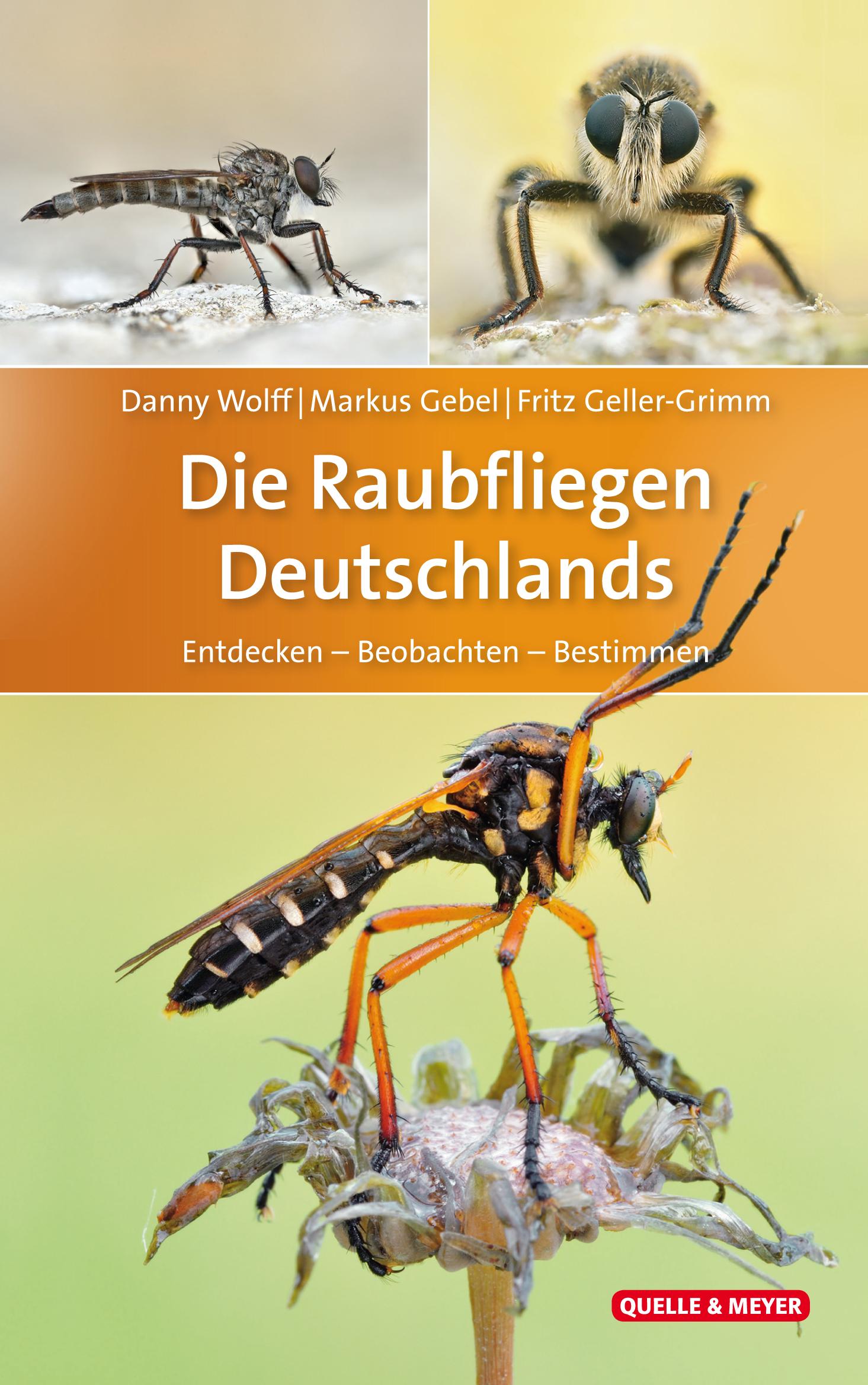 Vorderes Coverbild Die Raubfliegen Deutschlands