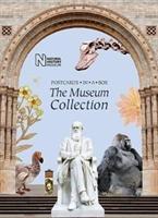 Vorderes Coverbild The Museum Collection: Postcards in a Box