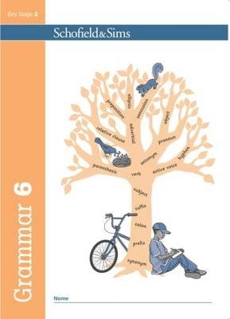 Vorderes Coverbild Grammar 6