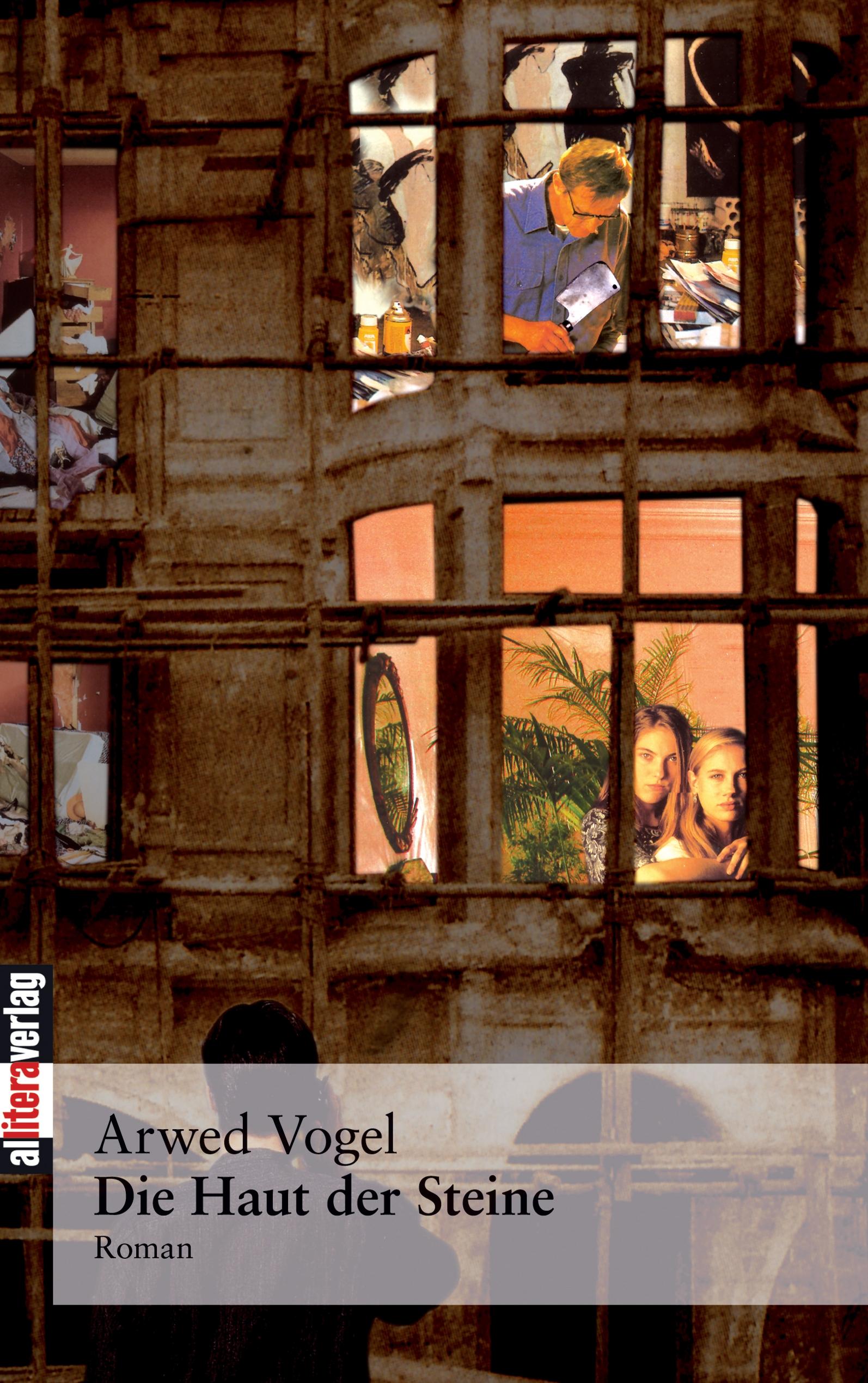 Vorderes Coverbild Die Haut der Steine