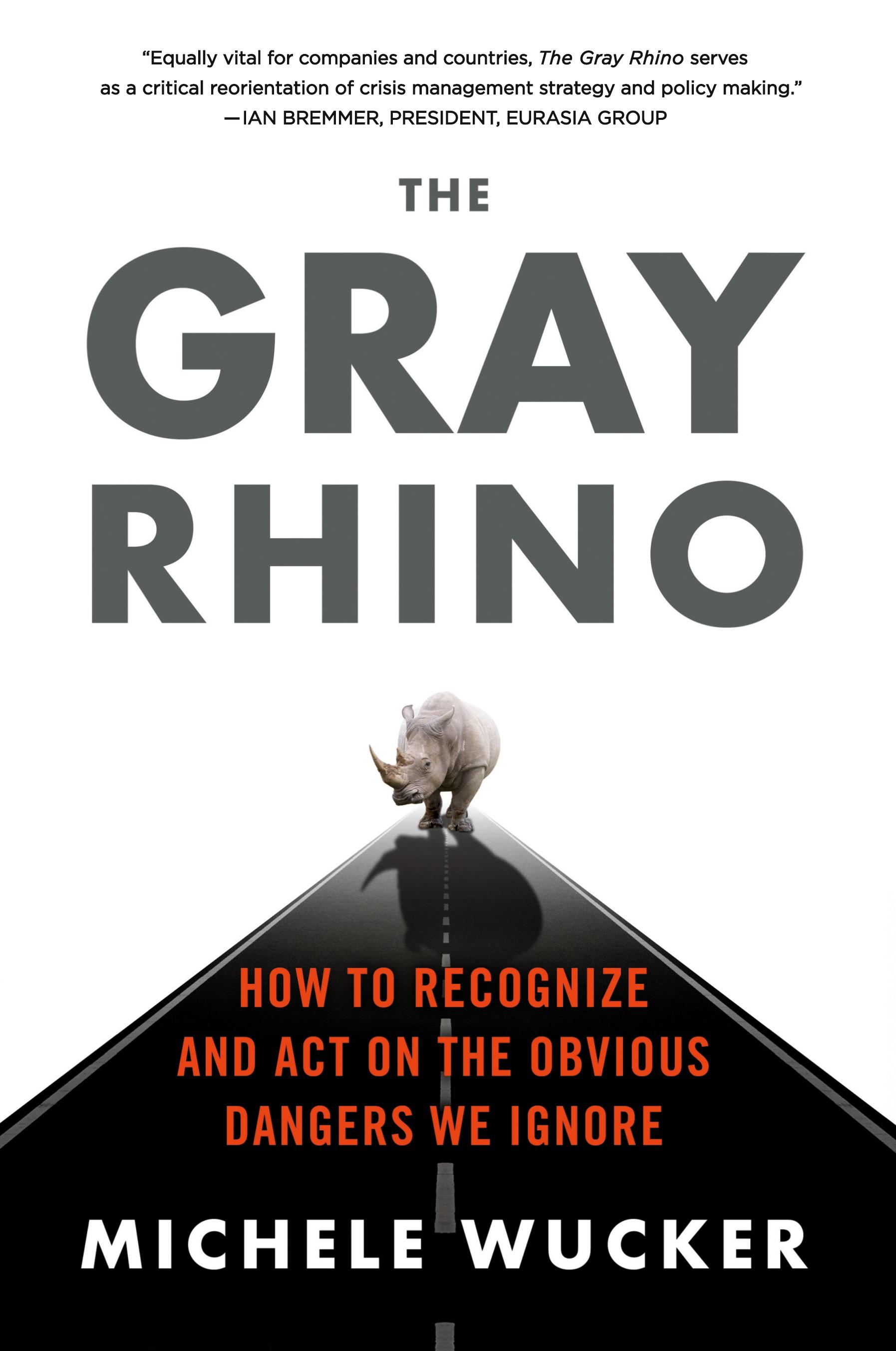 Vorderes Coverbild The Gray Rhino