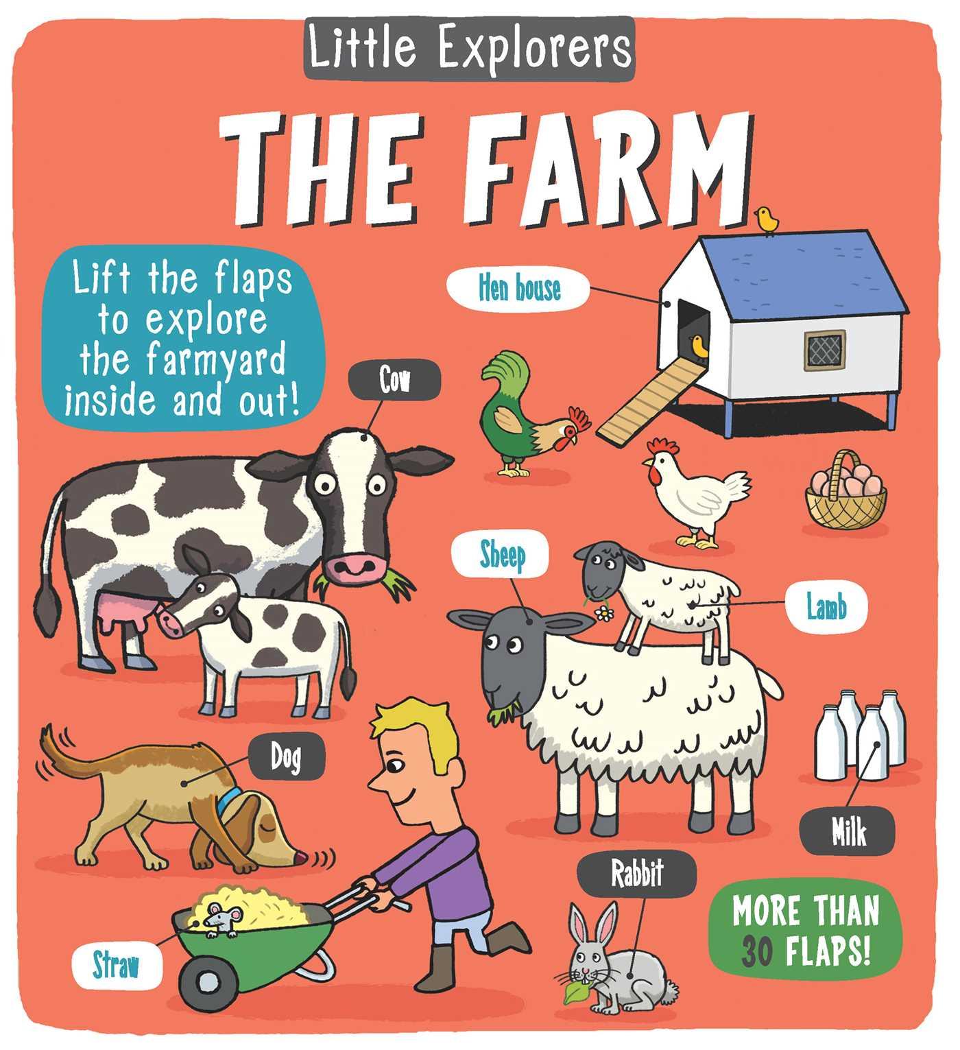 Vorderes Coverbild Little Explorers: The Farm