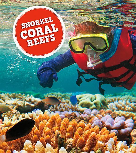Vorderes Coverbild Snorkel Coral Reefs