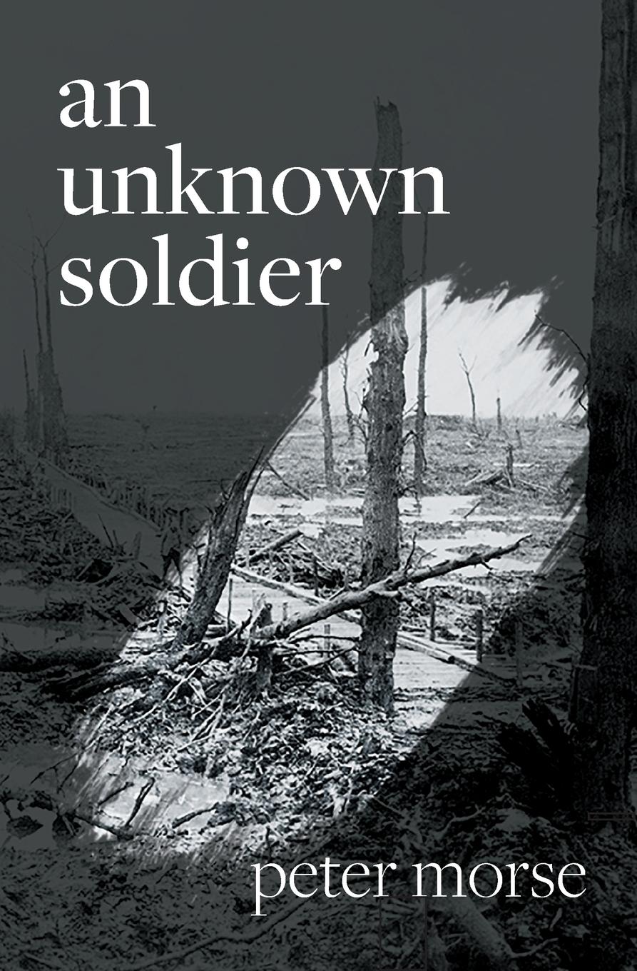 Vorderes Coverbild an unknown soldier