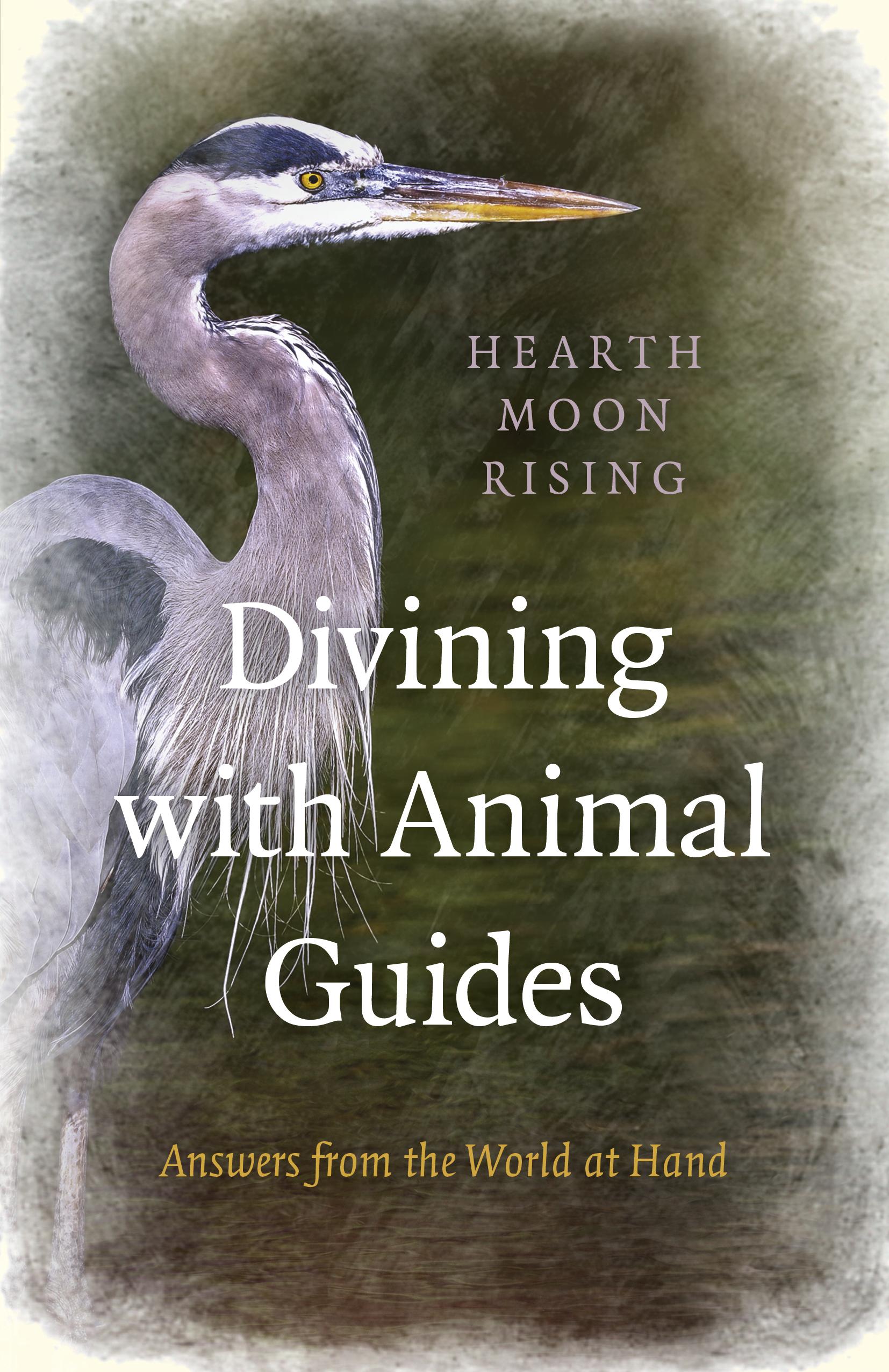 Vorderes Coverbild Divining with Animal Guides: Answers from the World at Hand