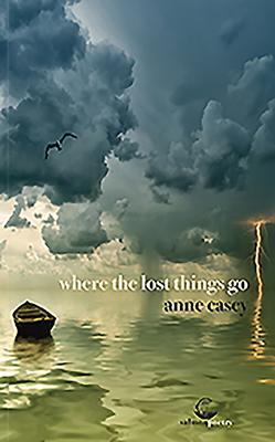 Vorderes Coverbild Where the Lost Things Go