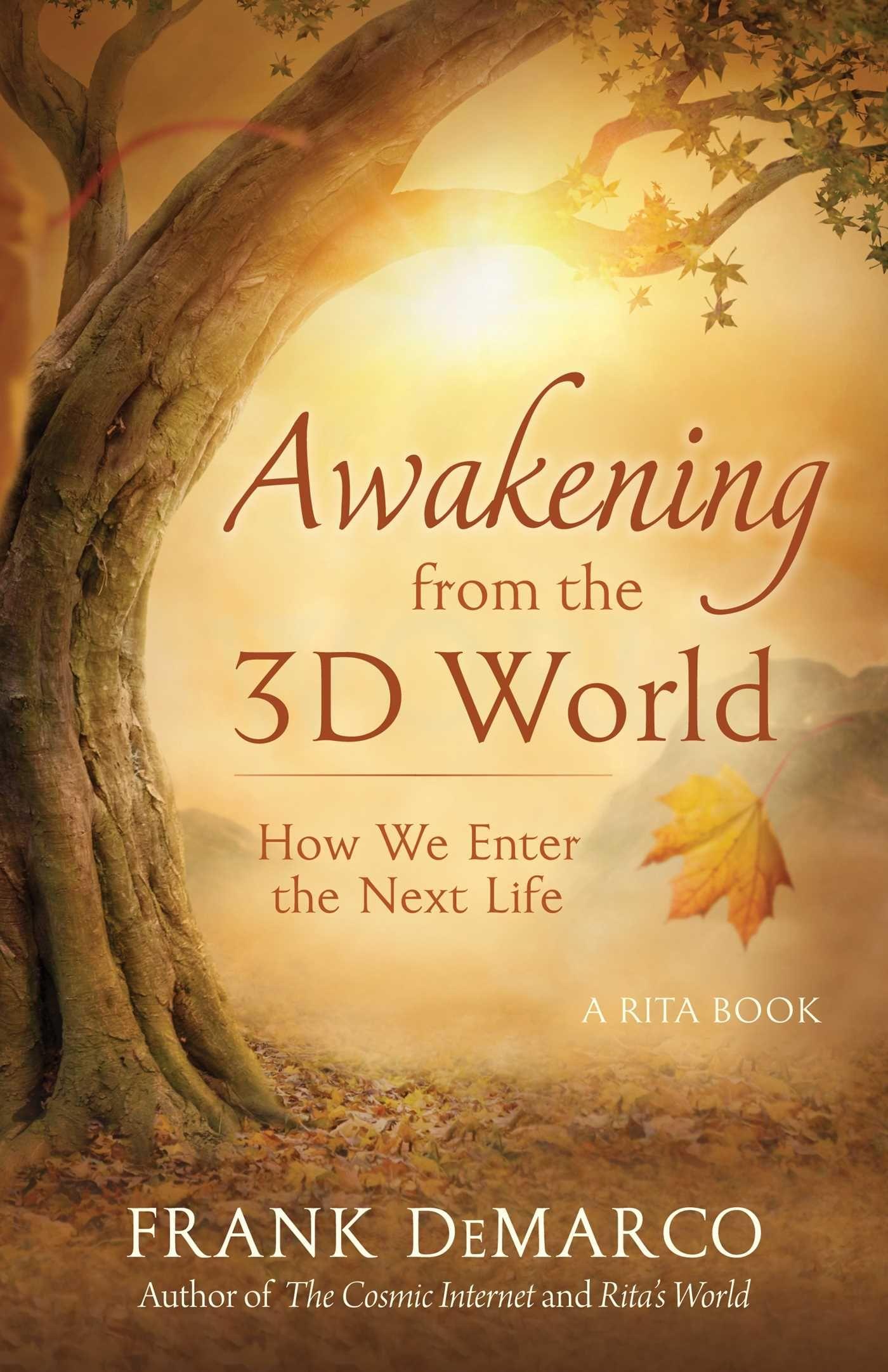 Vorderes Coverbild Awakening from the 3D World