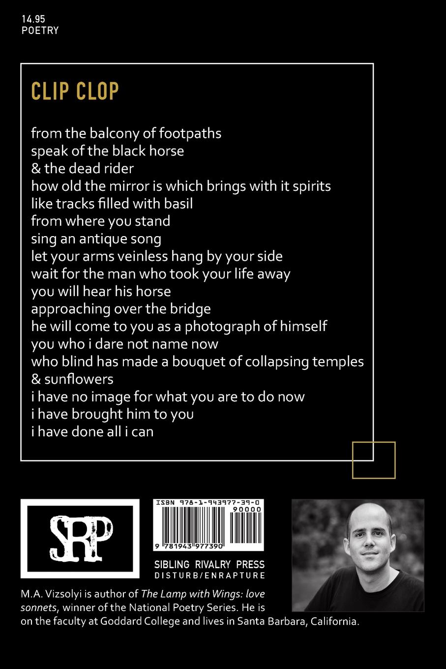 Rückseitencover Anthem for the Wounded