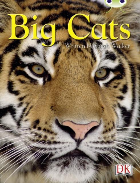 Vorderes Coverbild BC NF Brown B/3B Big Cats