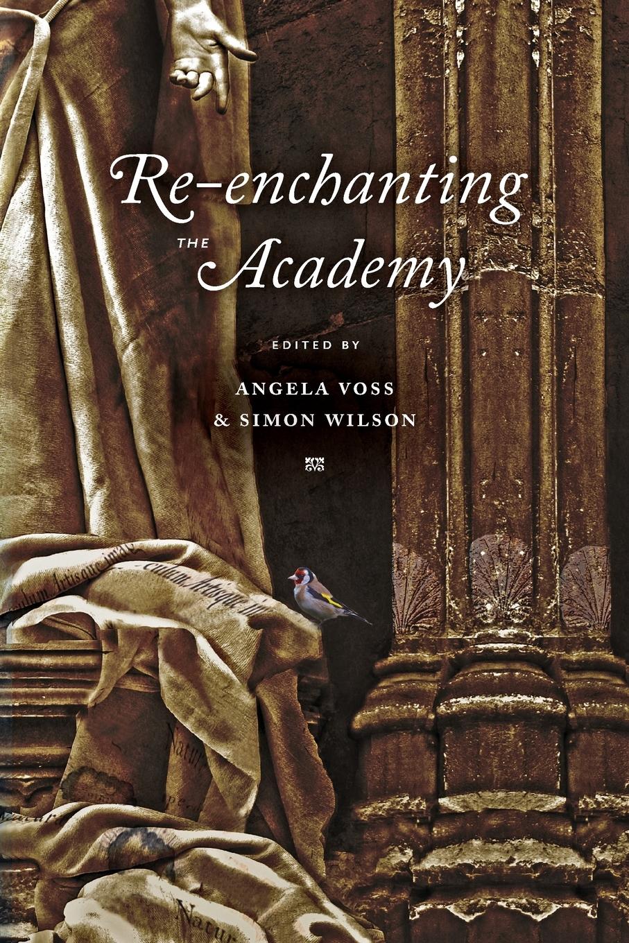 Vorderes Coverbild Re-enchanting the Academy