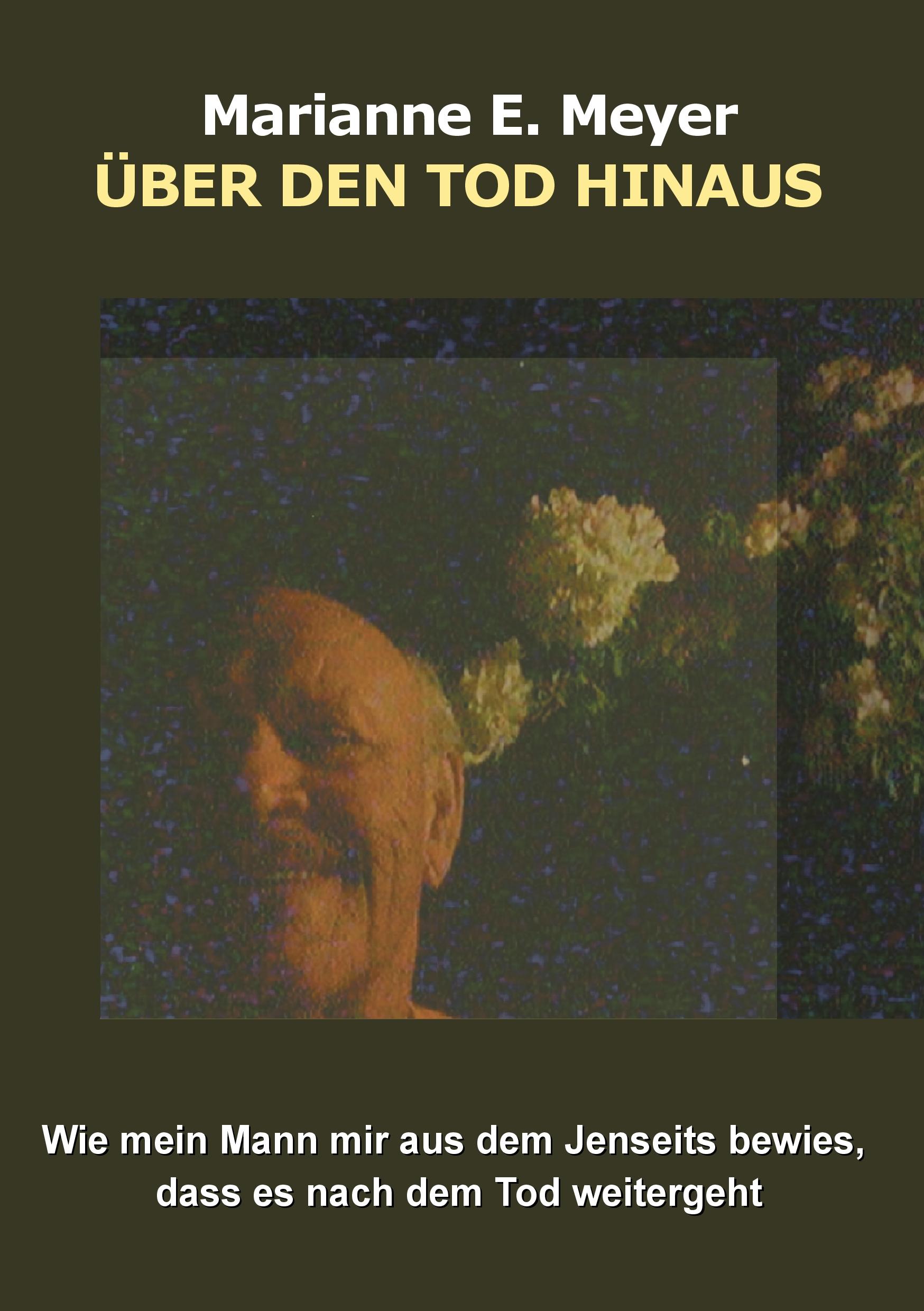 Vorderes Coverbild Über den Tod hinaus