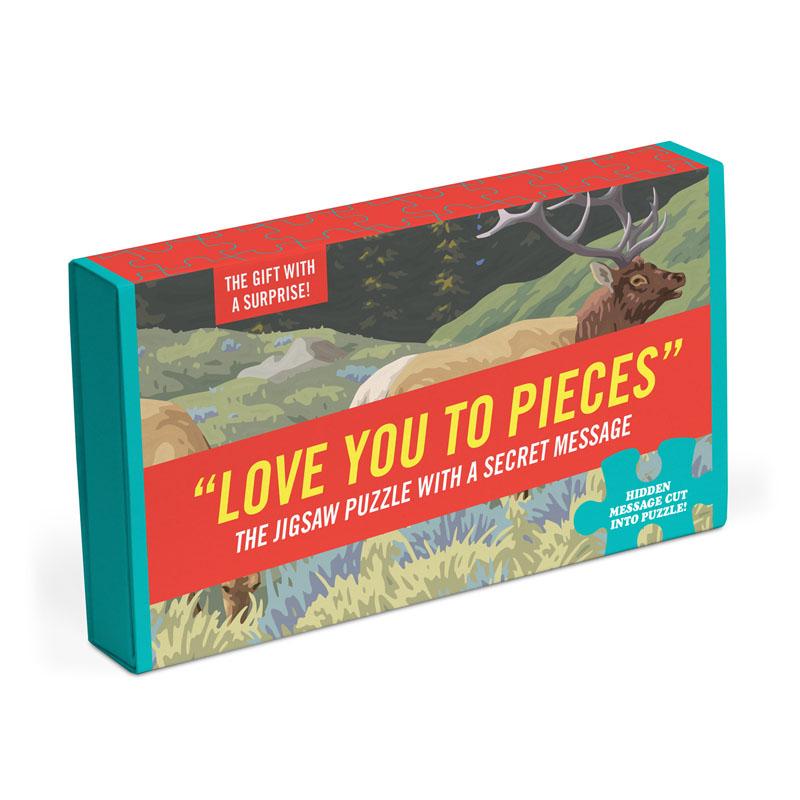Vorderes Coverbild Knock Knock Love You to Pieces Message Puzzle