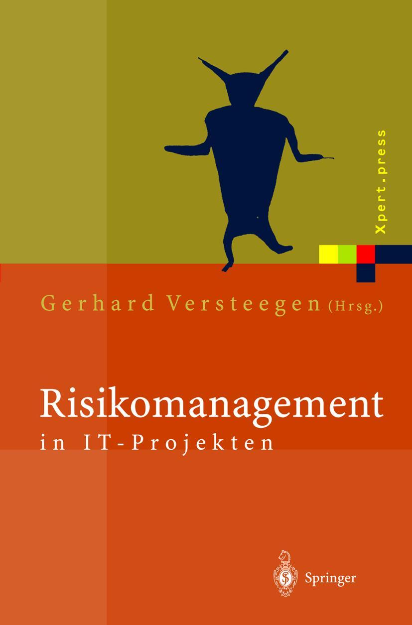 Vorderes Coverbild Risikomanagement in IT-Projekten