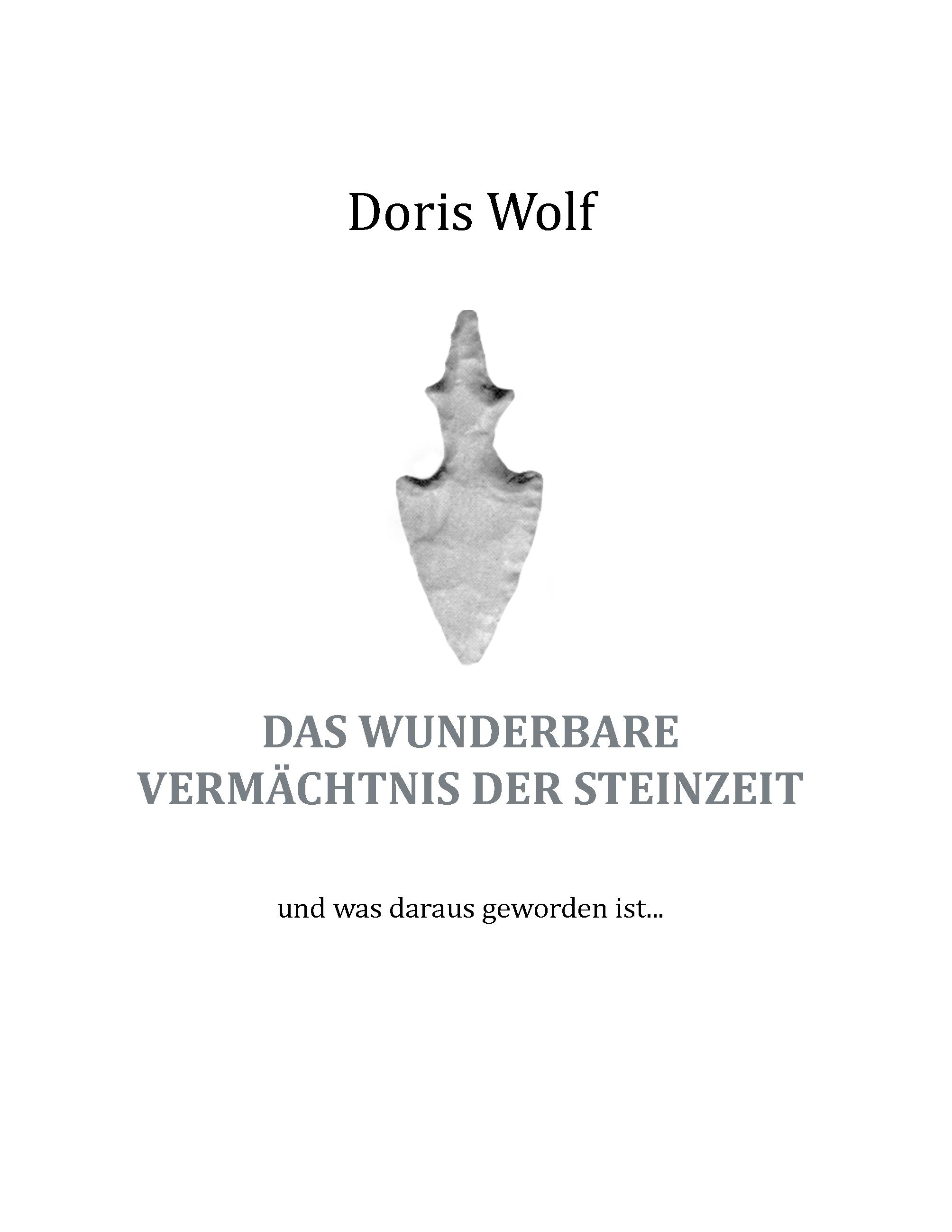 Vorderes Coverbild Das wunderbare Vermächtnis der Steinzeit