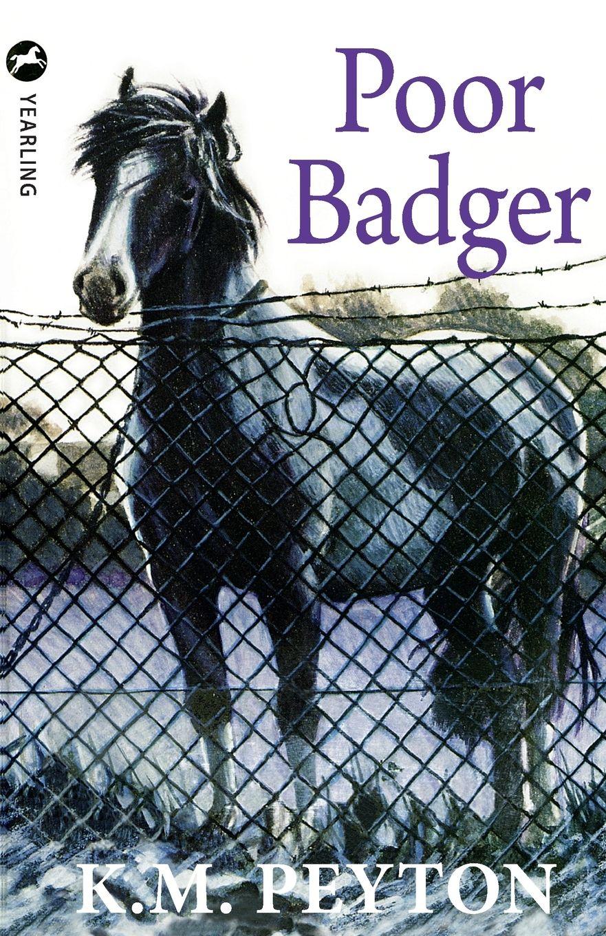 Vorderes Coverbild Poor Badger