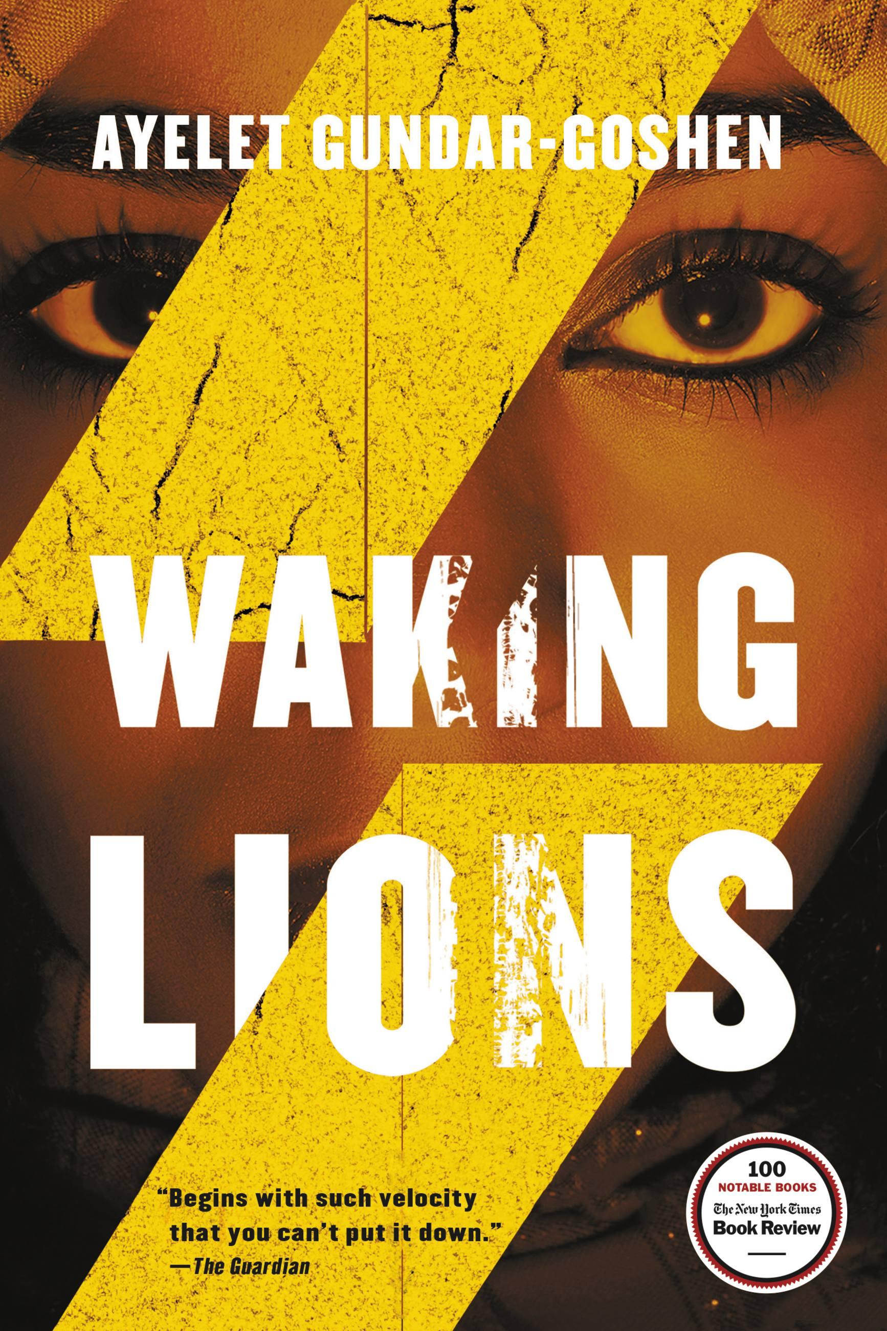 Vorderes Coverbild Waking Lions