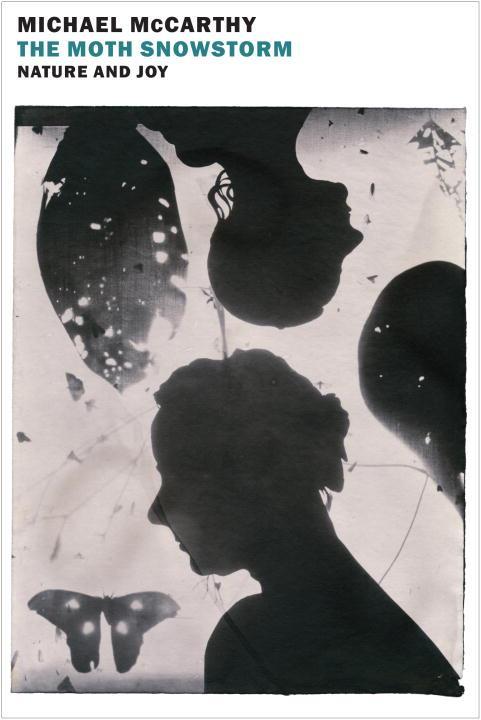 Vorderes Coverbild The Moth Snowstorm