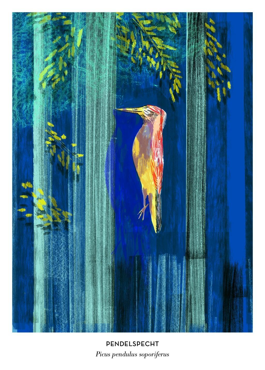 Beispielinhalt (Bild) Paradies der falschen Vögel