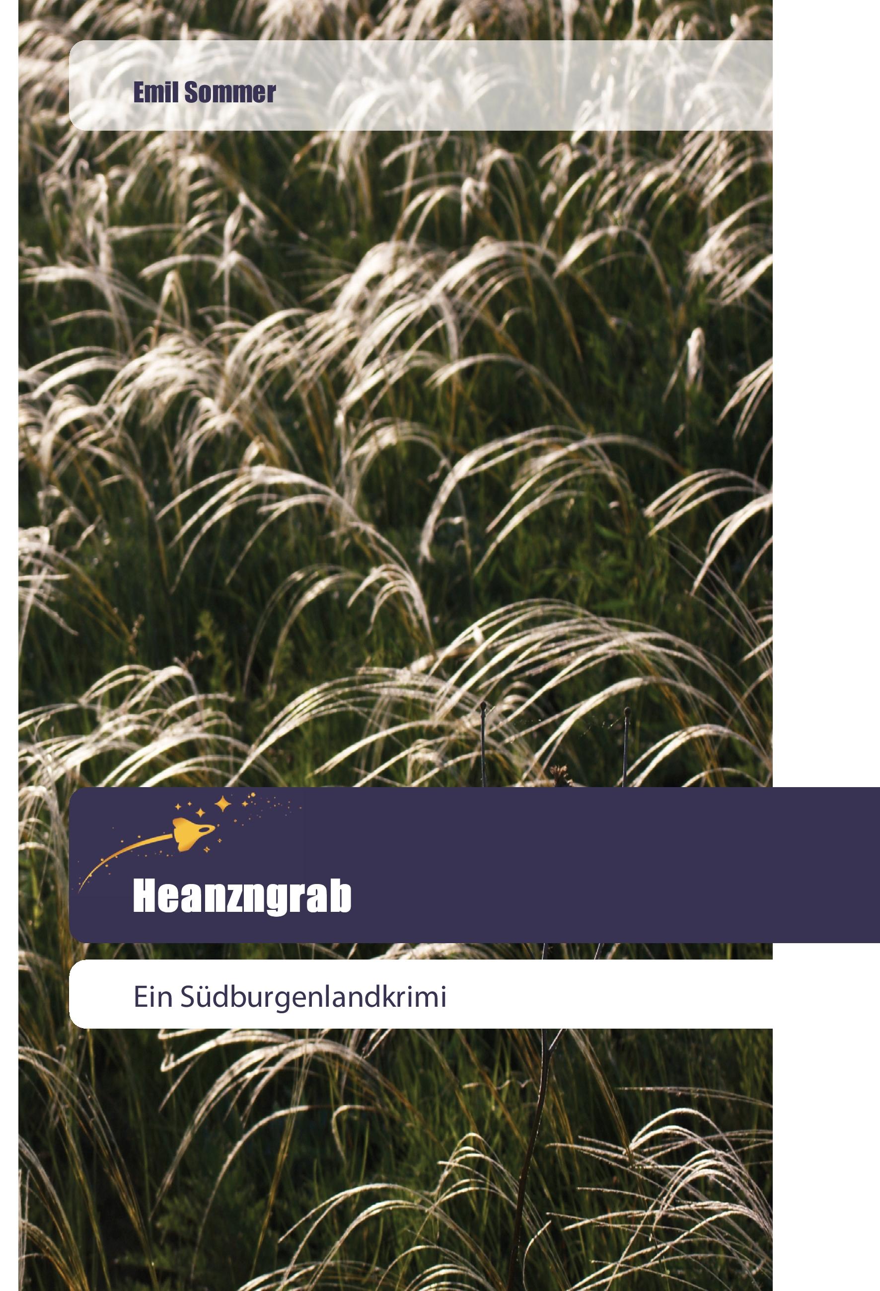 Vorderes Coverbild Heanzngrab