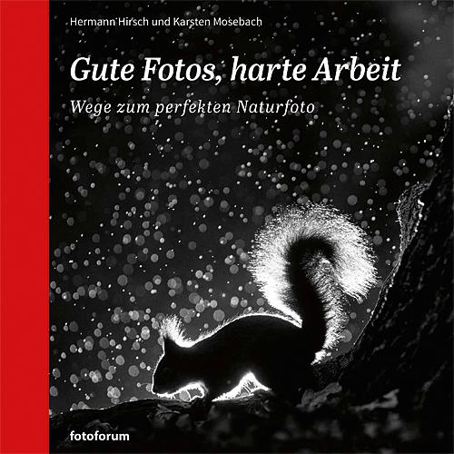 Vorderes Coverbild Gute Fotos, harte Arbeit