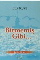 Vorderes Coverbild Bitmemis Gibi