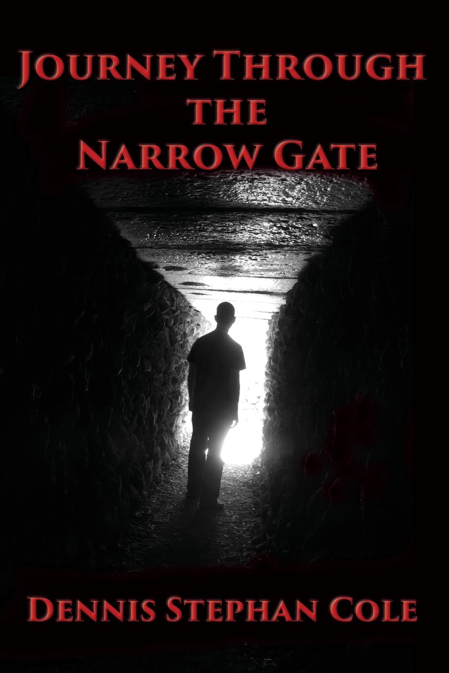 Vorderes Coverbild Journey Through the Narrow Gate