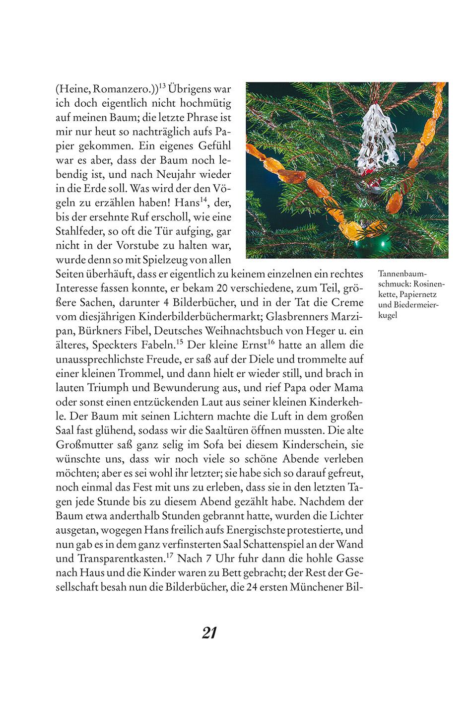 Beispielinhalt (Bild) Theodor Storms Weihnachten