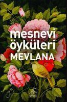 Vorderes Coverbild Mesnevi Öyküleri Mevlana