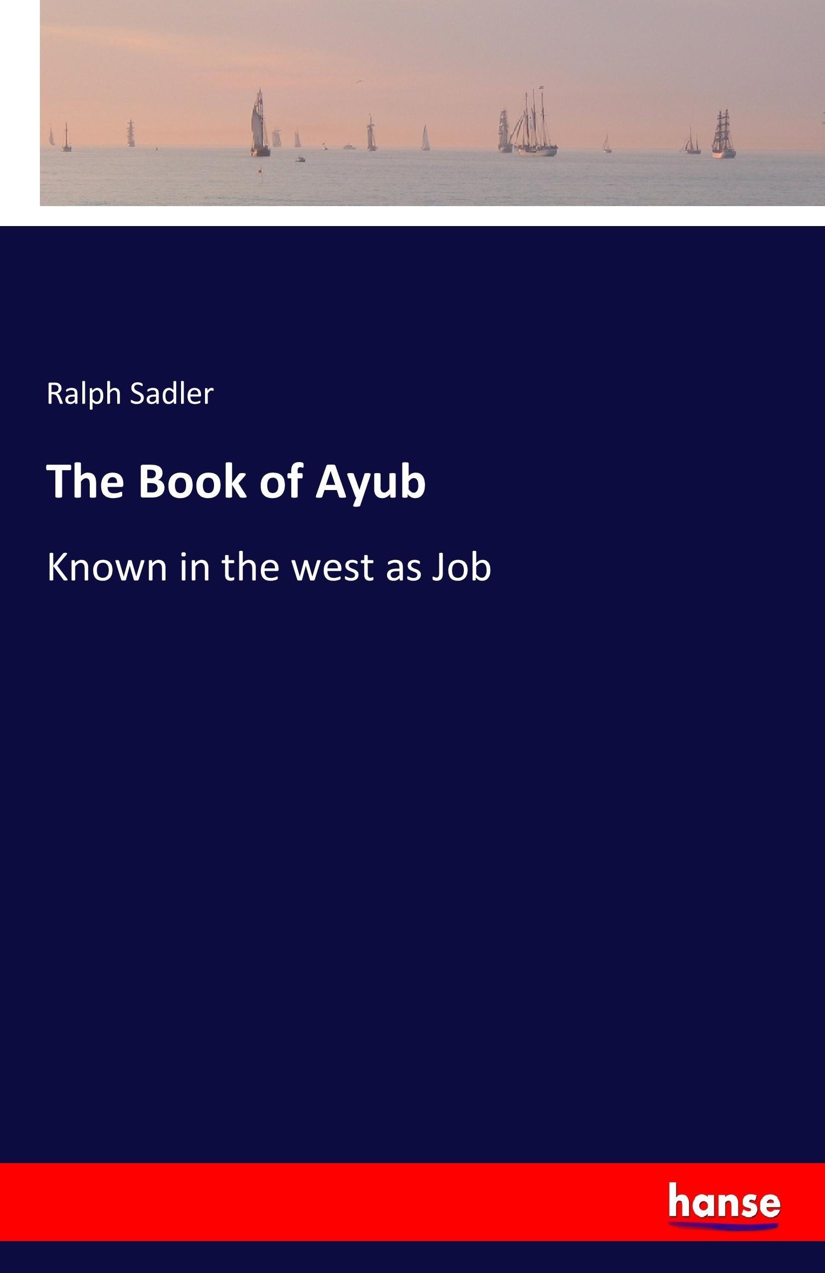 Vorderes Coverbild The Book of Ayub