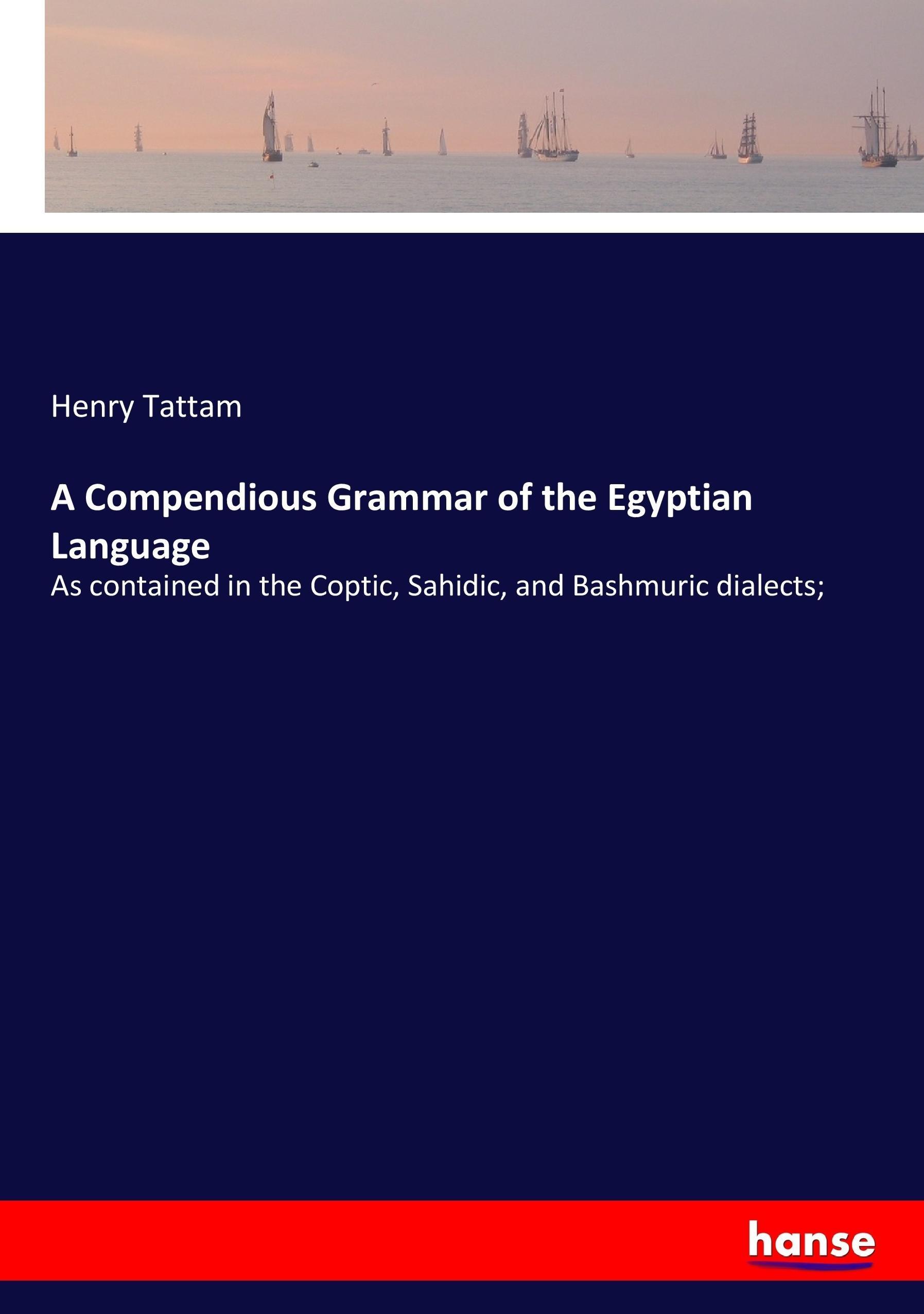 Vorderes Coverbild A Compendious Grammar of the Egyptian Language