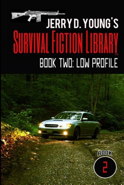 Vorderes Coverbild Low Profile