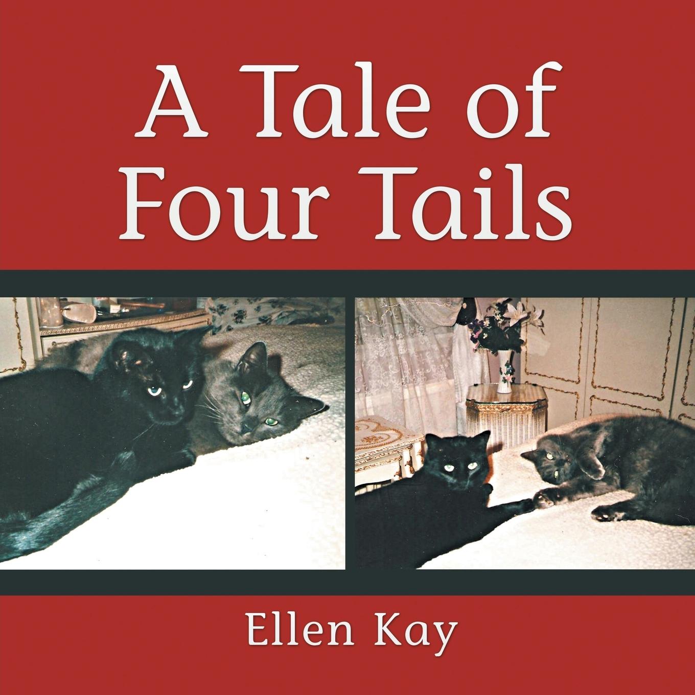 Vorderes Coverbild A Tale of Four Tails
