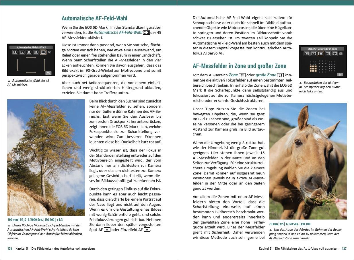 Beispielinhalt (Bild) Canon EOS 6D Mark 2 - Für bessere Fotos von Anfang an