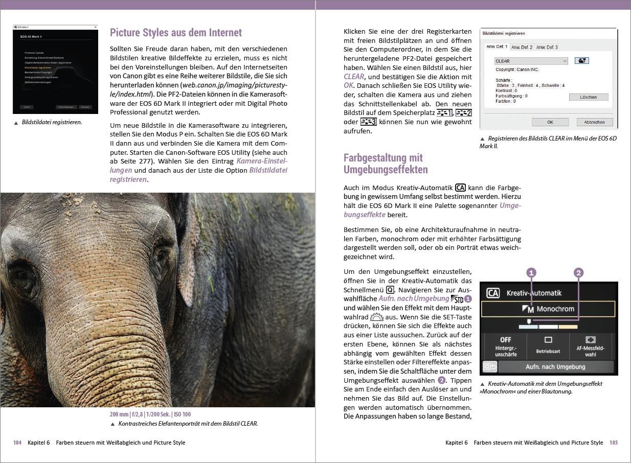 Beispielinhalt (Bild) Canon EOS 6D Mark 2 - Für bessere Fotos von Anfang an