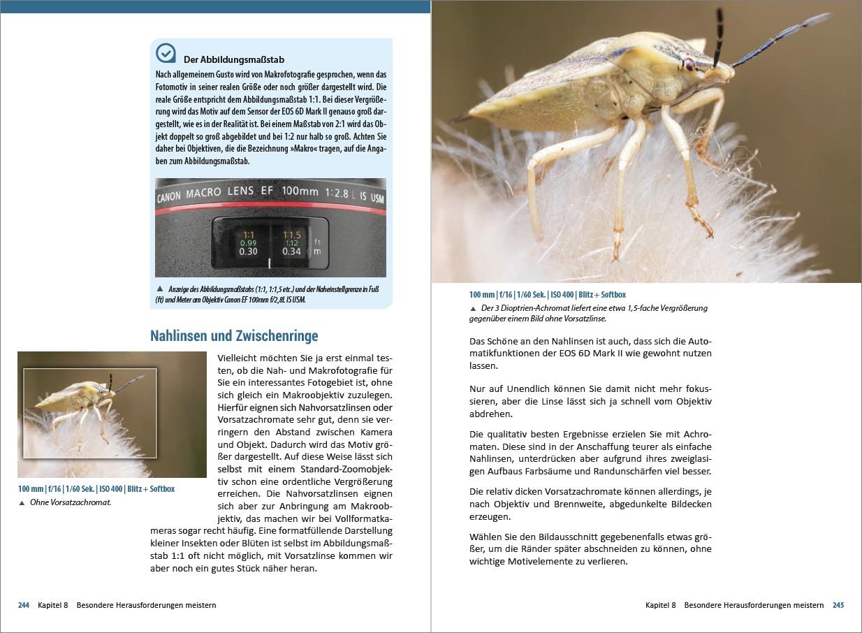 Beispielinhalt (Bild) Canon EOS 6D Mark 2 - Für bessere Fotos von Anfang an