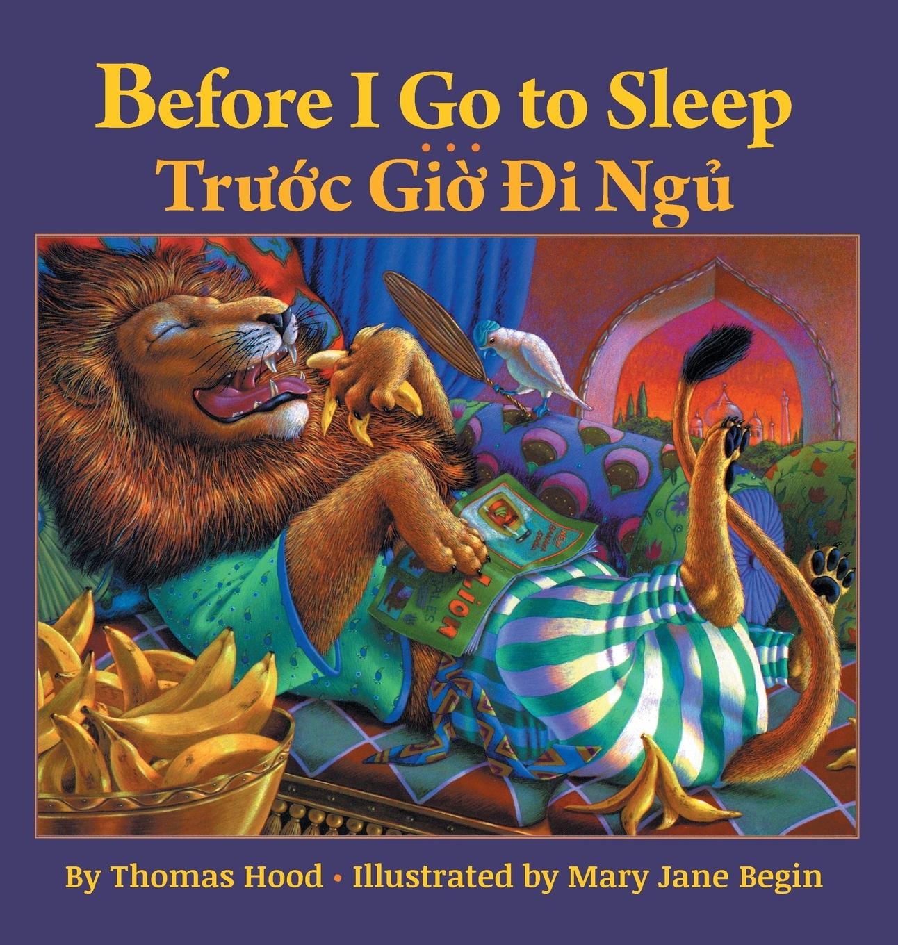 Vorderes Coverbild Before I Go to Sleep / Truoc Gio Di Ngu