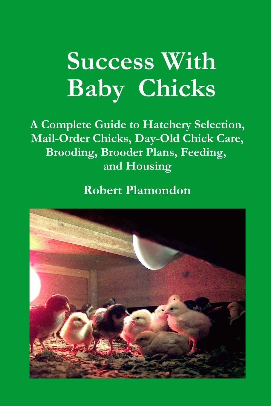 Vorderes Coverbild Success with Baby Chicks