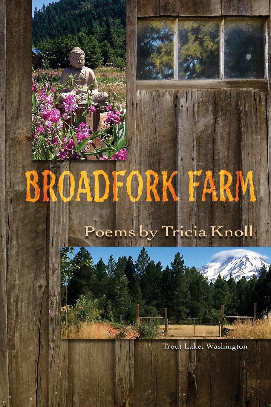 Vorderes Coverbild Broadfork Farm