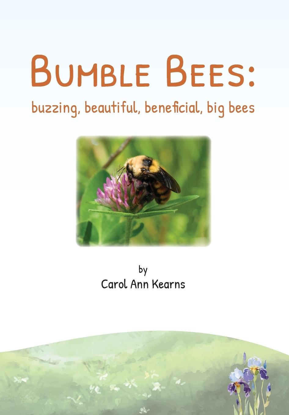 Vorderes Coverbild Bumble Bees