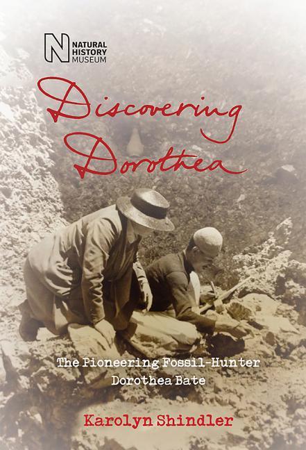 Vorderes Coverbild Discovering Dorothea