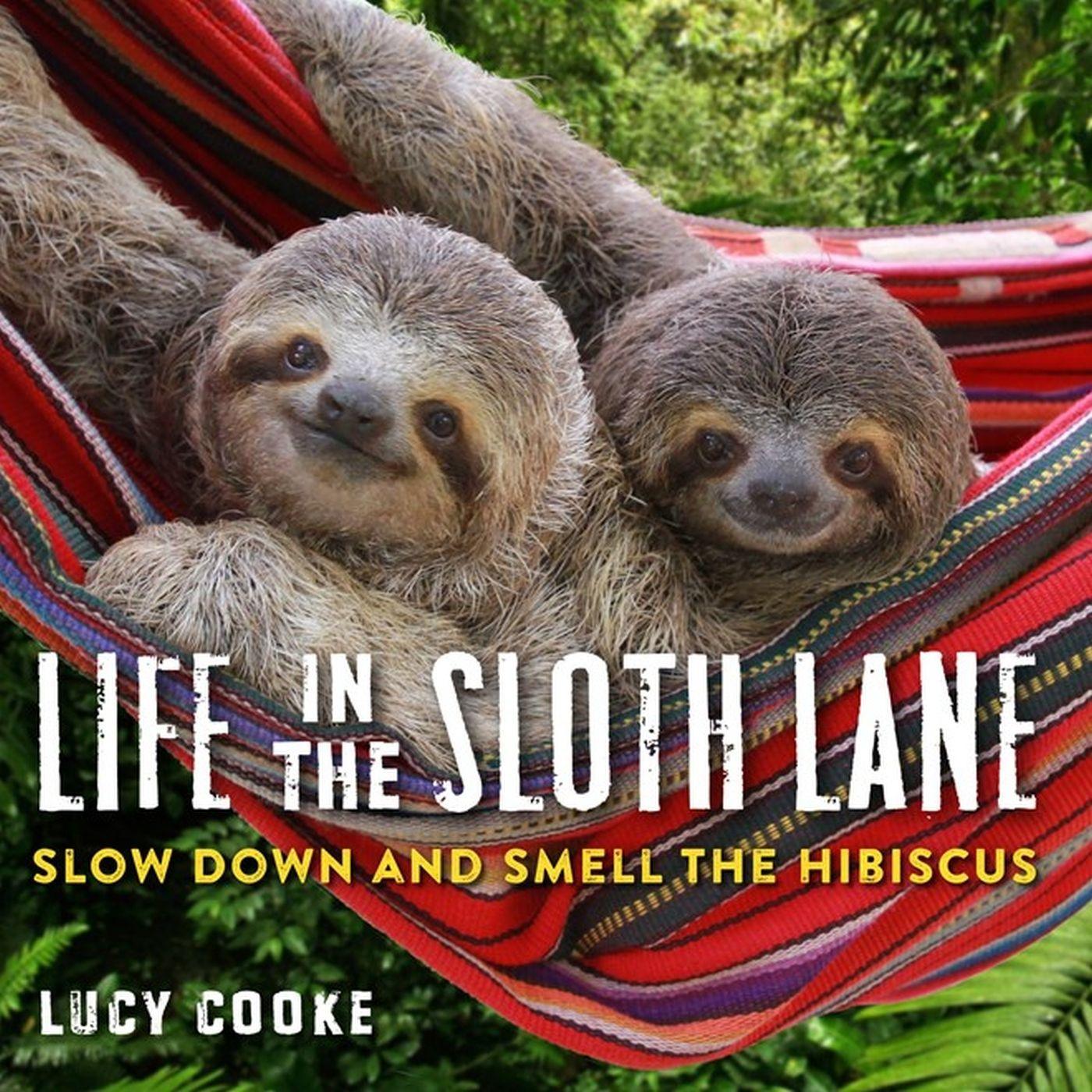 Vorderes Coverbild Life in the Sloth Lane