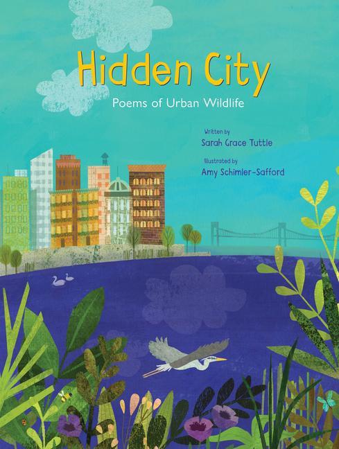 Vorderes Coverbild Hidden City