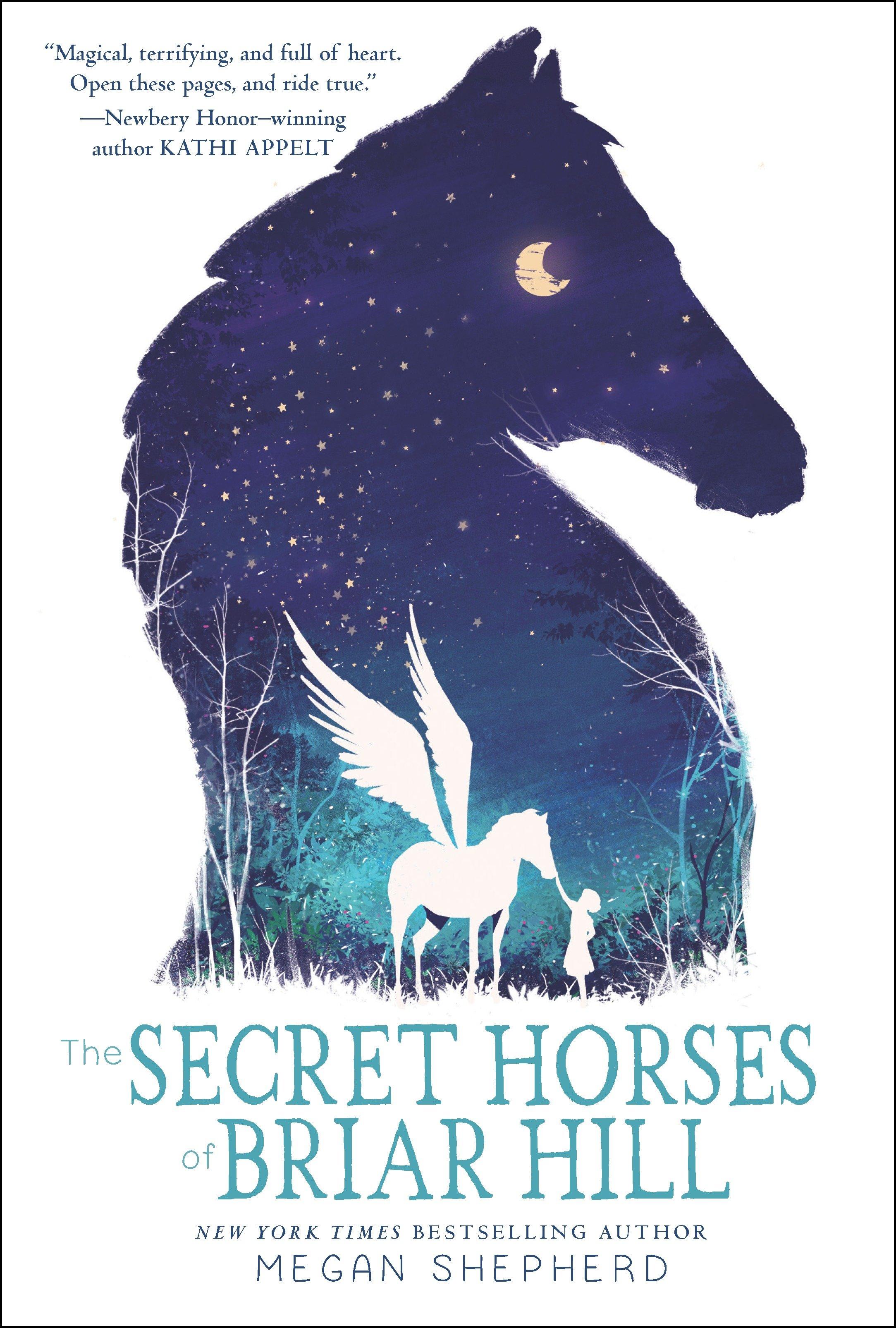 Vorderes Coverbild The Secret Horses of Briar Hill