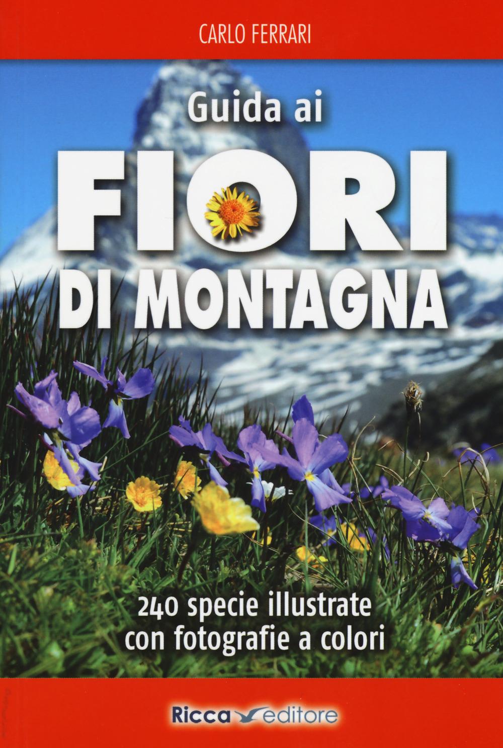 Vorderes Coverbild Guida ai fiori di montagna