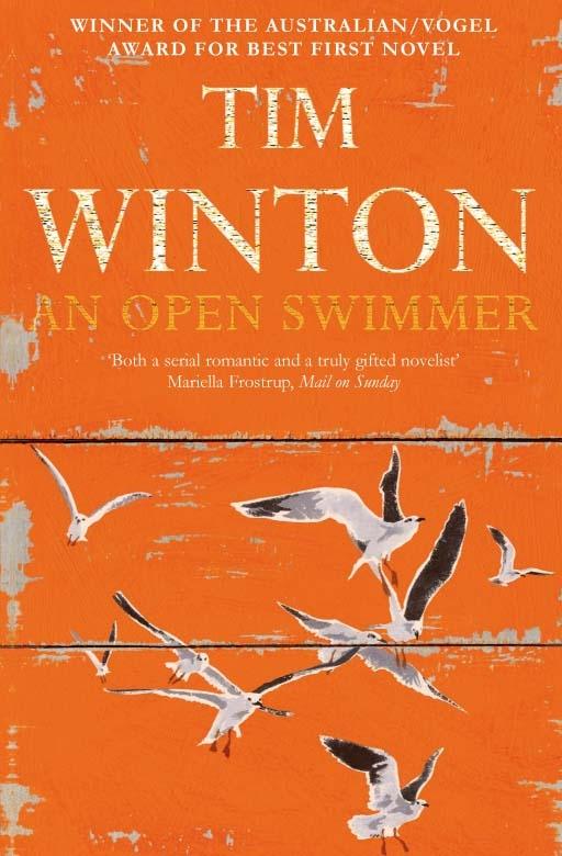 Vorderes Coverbild An Open Swimmer