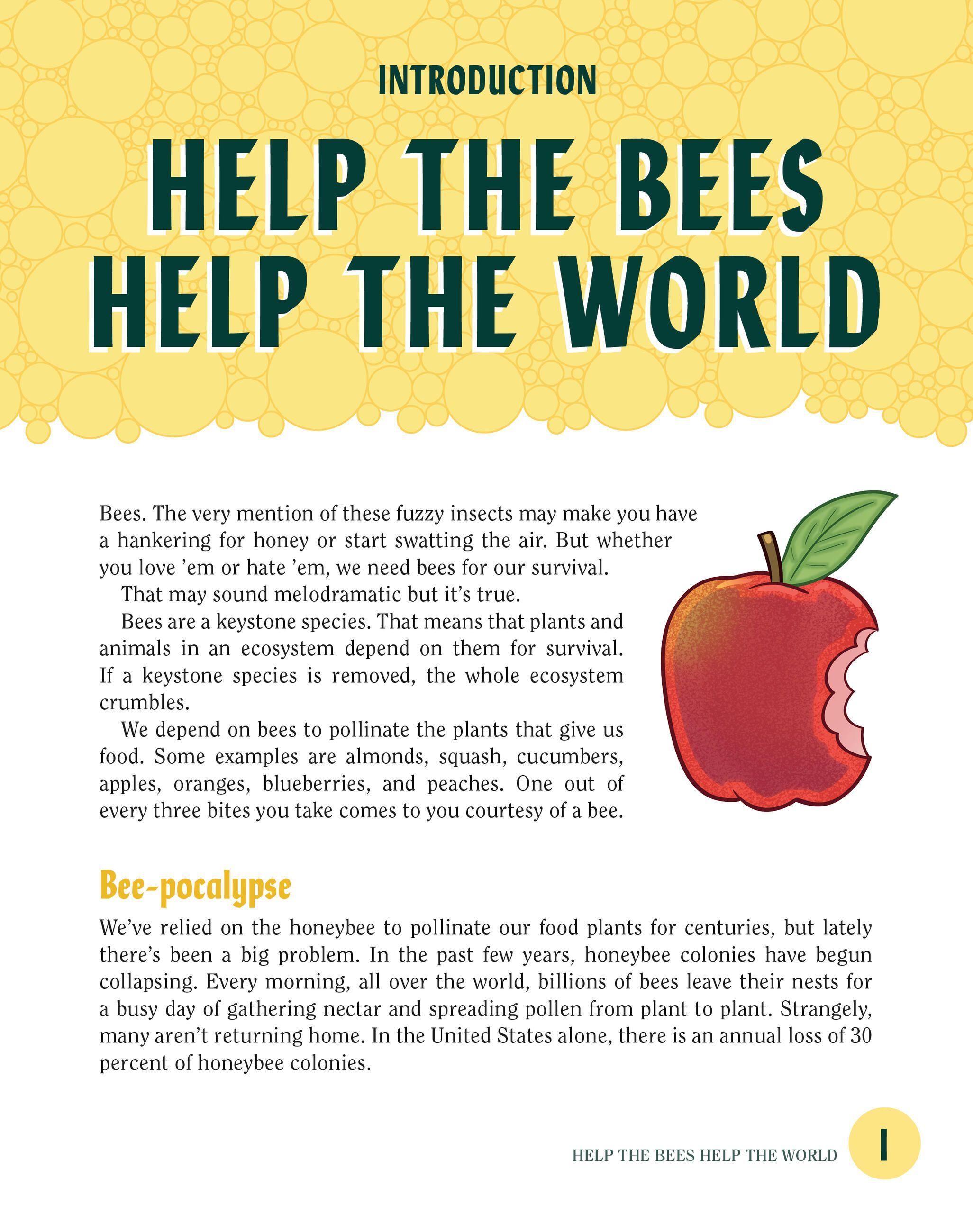 Beispielinhalt (Bild) Turn This Book Into a Beehive!