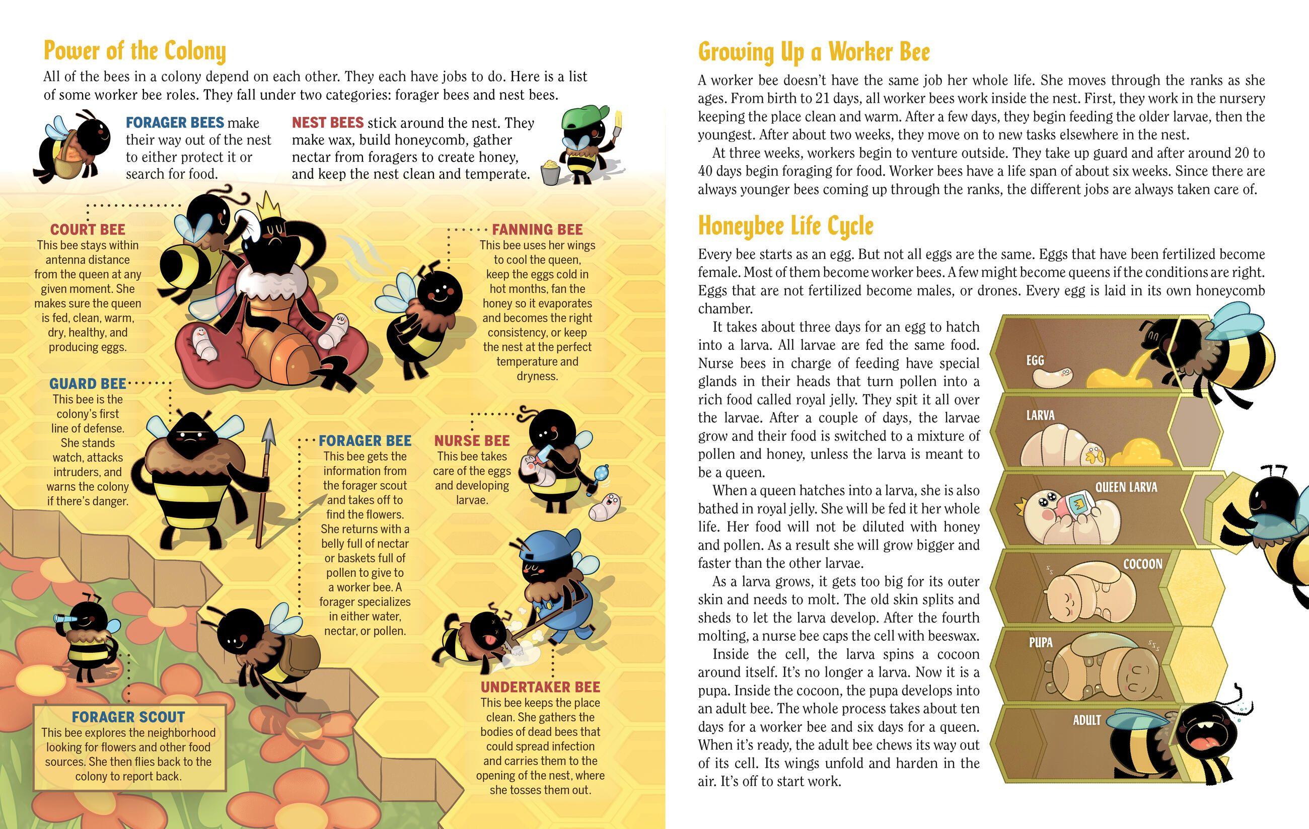 Beispielinhalt (Bild) Turn This Book Into a Beehive!