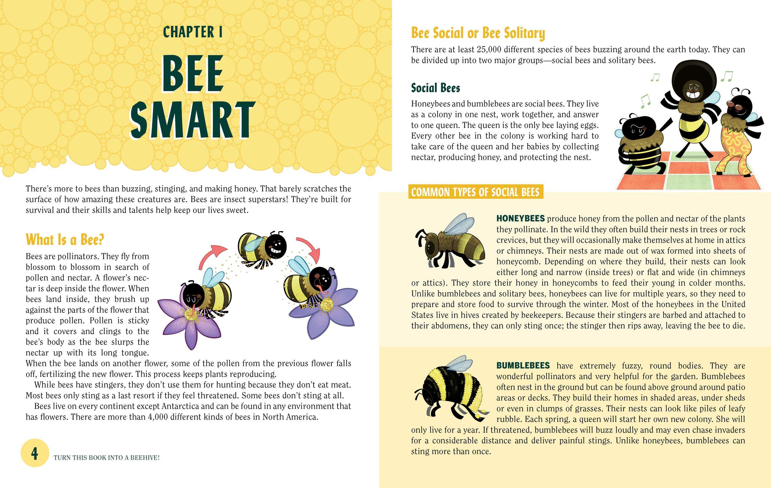 Beispielinhalt (Bild) Turn This Book Into a Beehive!